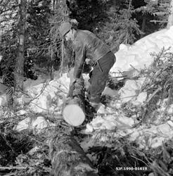 "Barking av tømmer for plass til øye. Vestre Gausdal, Opplan