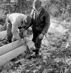 Festing av tømmer på dragstutting for hankekjøring av tømmer