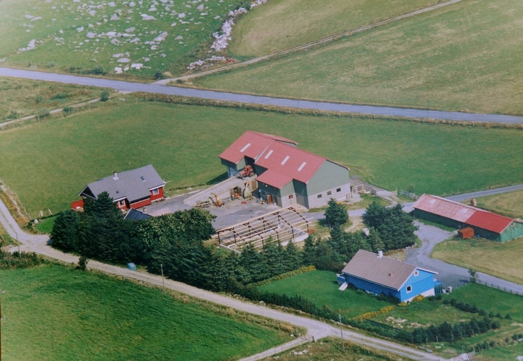 Flyfoto av husa på bruk 47 "Nyland". Huset nærast på bildet er utskildt frå garden og tilhøyrer Jonas Skårland og har br.nr. 159