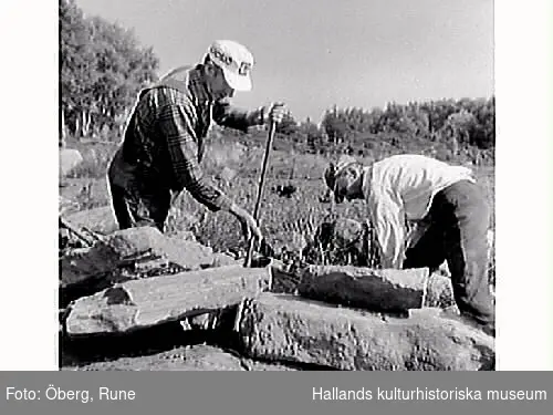 Gustav Morgan (med rutig skjorta) och Knut bygger en gärdesgård.