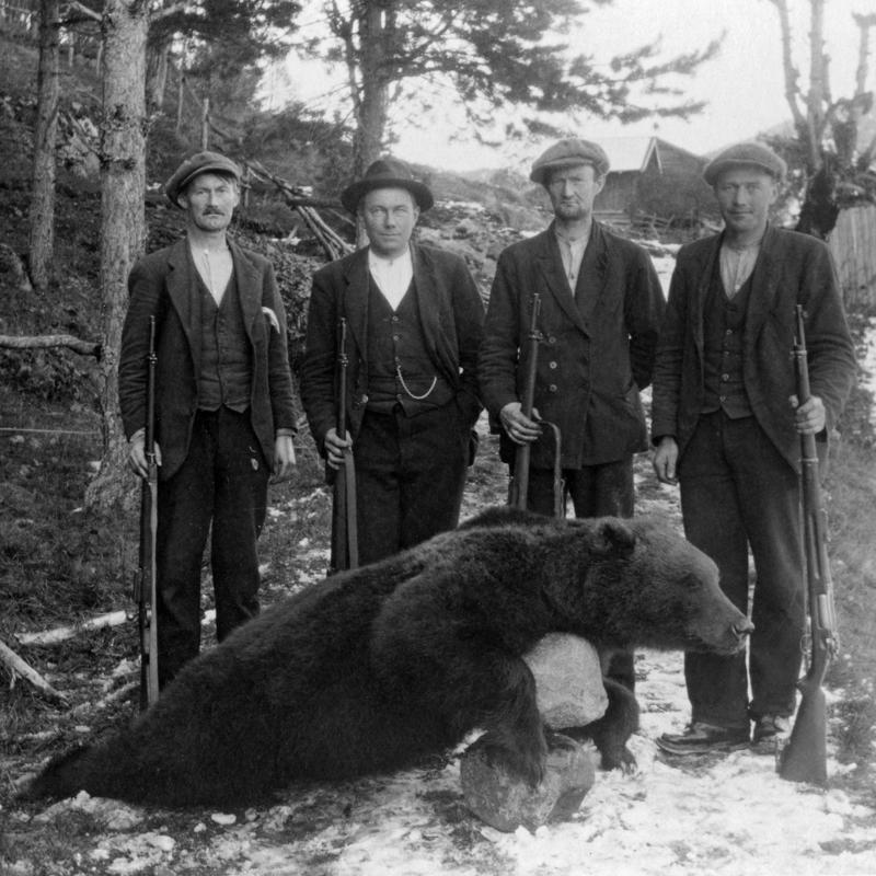 Bildet viser fire jeger som har felt en bjørn. Bildet er tatt i 1926