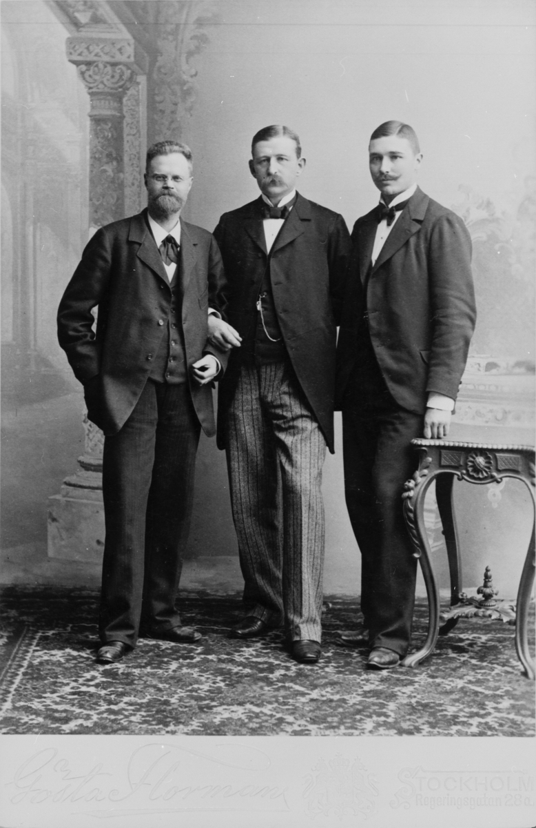 Porträtt t.v. Nils Ekholm, ingick i 1896 års expedition, Nils Strindberg och S.A. Andrée.