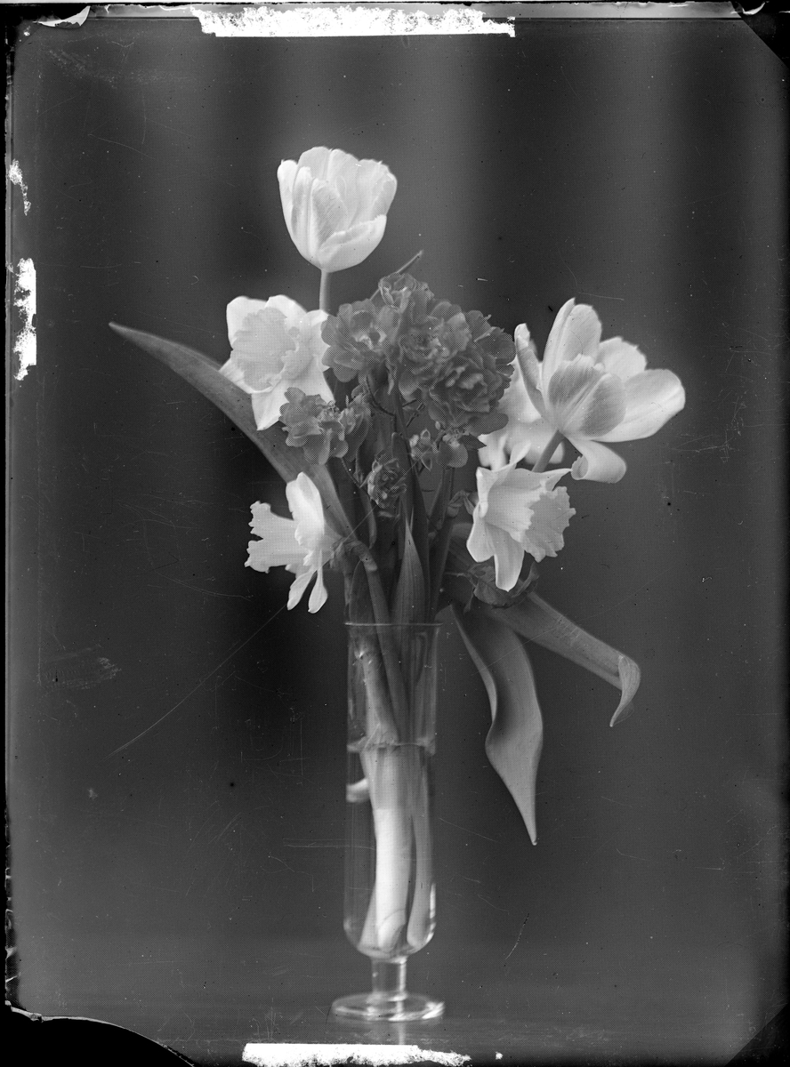Bild från institutionen för fotografi vid Kungliga Tekniska Högskolan. Blommor i vas.