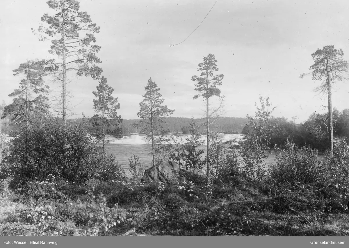 Skogfossen (Männikafossen) i Pasvik, høsten 1898