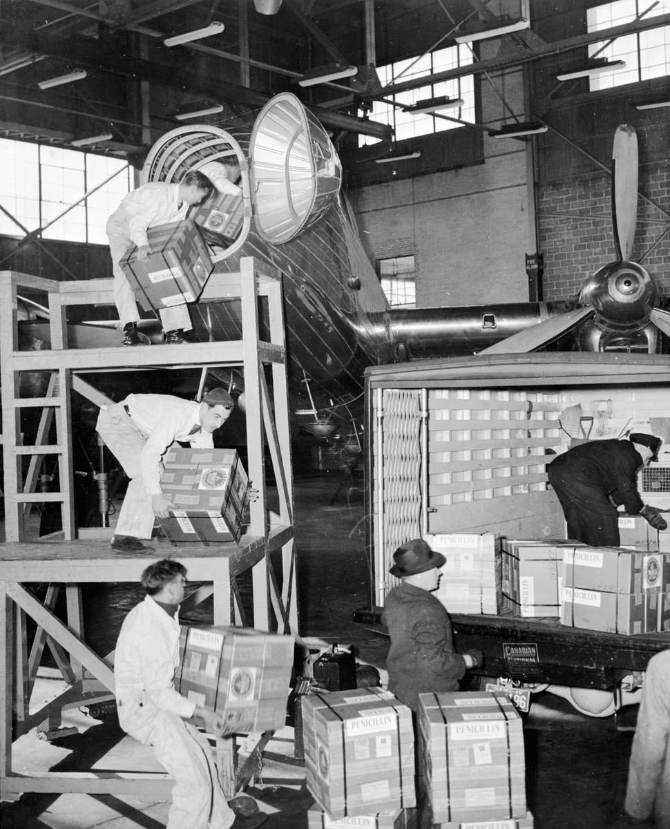 "Shipment of Pennicillin being loaded into T.C.A plane at Dorval".
Lastning av penicillin på plan i Dorval.