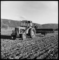 Jordbruk. På våren.