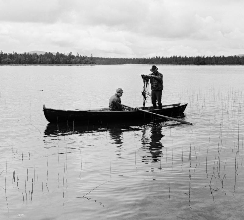 To menn i en robåt som fisker med garn. En ror og en drar opp  garn.