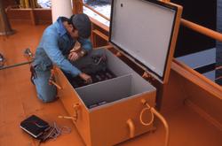 M/S ‘Tender Captain’ (b. 1976, Ulstein Hatlo A/S, Ulsteinvik