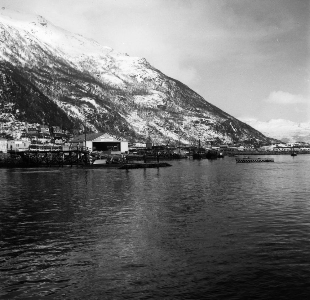Sjøflyhavn. Narvik. Fra et fartøy kan vi se Widerøes sjøhangar for vedlikehold av fly. Flypatruljebåt stevner mot land.