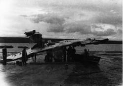 Landskap. Sandstrand. Et flyvrak, Northrop N-3PB, Norsk 330 