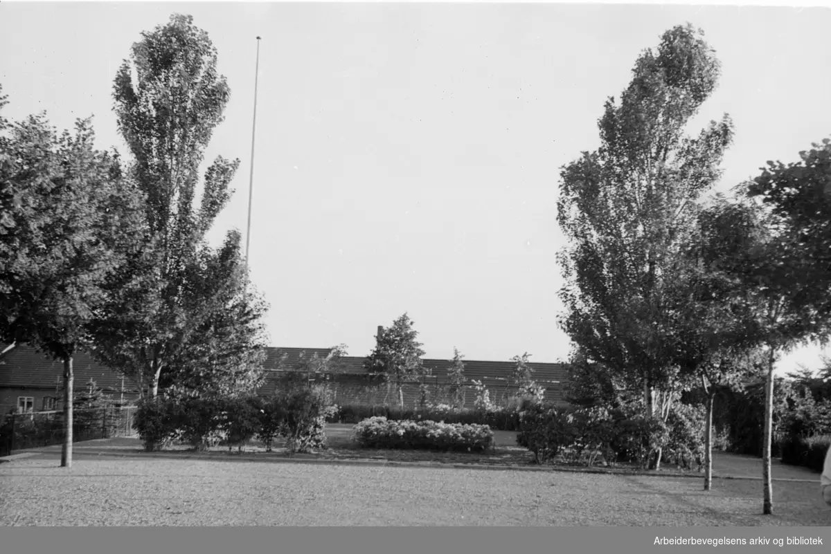 Hjemmets Kolonihage på Bjølsen.1946 - 1948