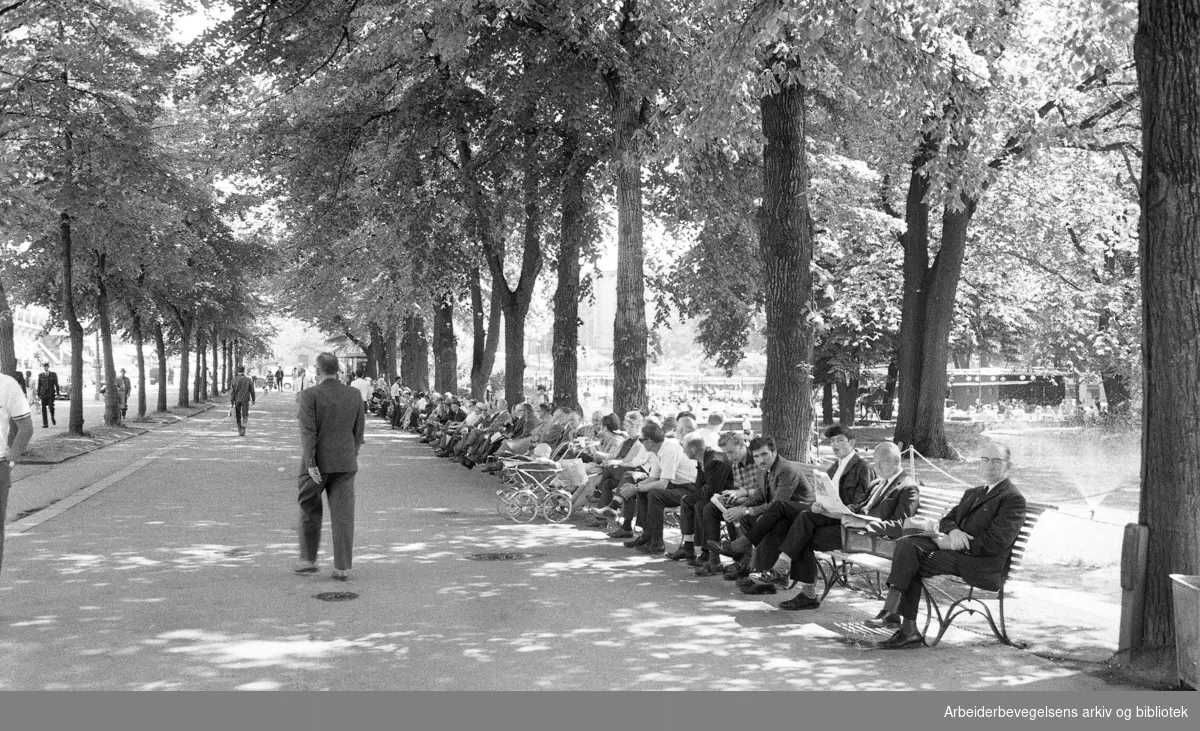 Studenterlunden. Karl Johans gate..Juli 1970