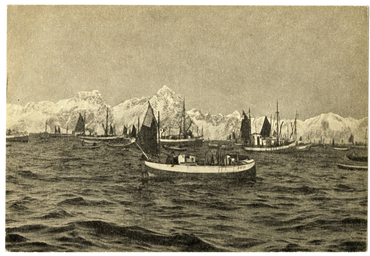 Postkort. Fiskebåter i Lofoten.