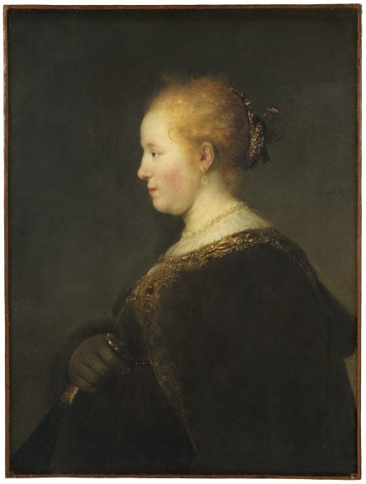 Kvinnan som avbildas är inte identifierad, men en teori är att hon var hustru till en konsthandlare som Rembrandt kände. Målningen är dock inte att beakta som ett porträtt, utan är en s.k. ”tronie”, det vill säga en avbildning av en anonym modell, iklädd exotiska eller historiska kläder och ofta med ett uttrycksfullt ansikte. Rembrandt och hans samtida holländska konstnärskolleger utförde flera sådana målningar som såldes på den växande konstmarknaden.