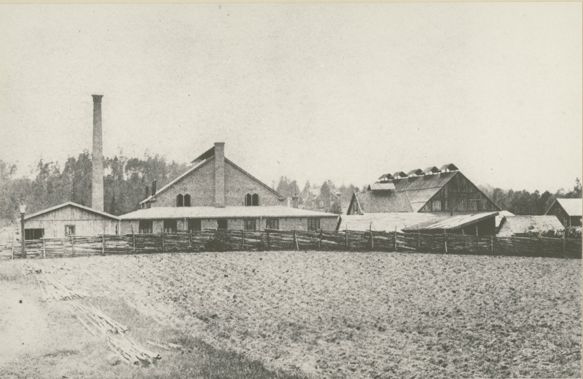 Pukebergs glasbruk från öster. Till vänster den gamla hyttan av sten som stod färdig 1896, till höger den år 1895 uppförda provisoriska hyttan. Fotot troligen från 1896.