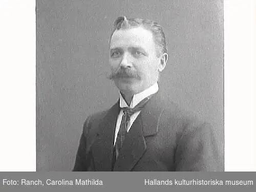 Mansporträtt. Johan Anton Johansson, godsägare, riksdagsman i 1:a kammaren, född 1872-06-11, död 1966-06-28.