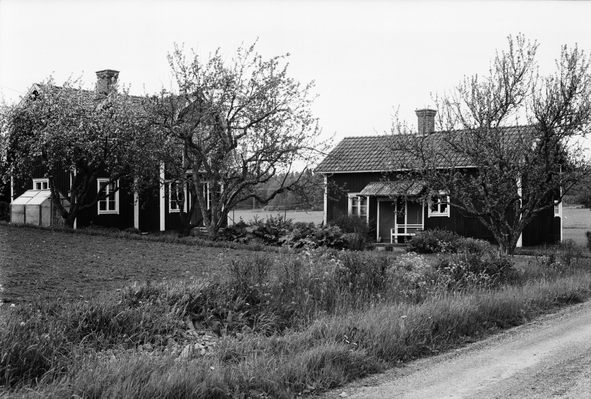 Vy över Söder-Edinge 1:9, Solberga, Tuna socken, Uppland 1987