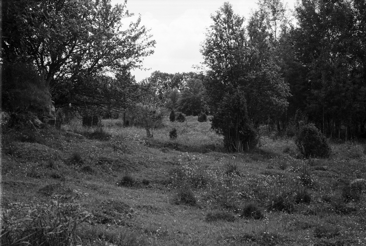 Beteshage och gravfält, Saringe 2:23, Tuna socken, Uppland 1987
