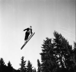 Vardens arkiv. "Hopprenn i Rugtvedtkollen"  28.03.1954