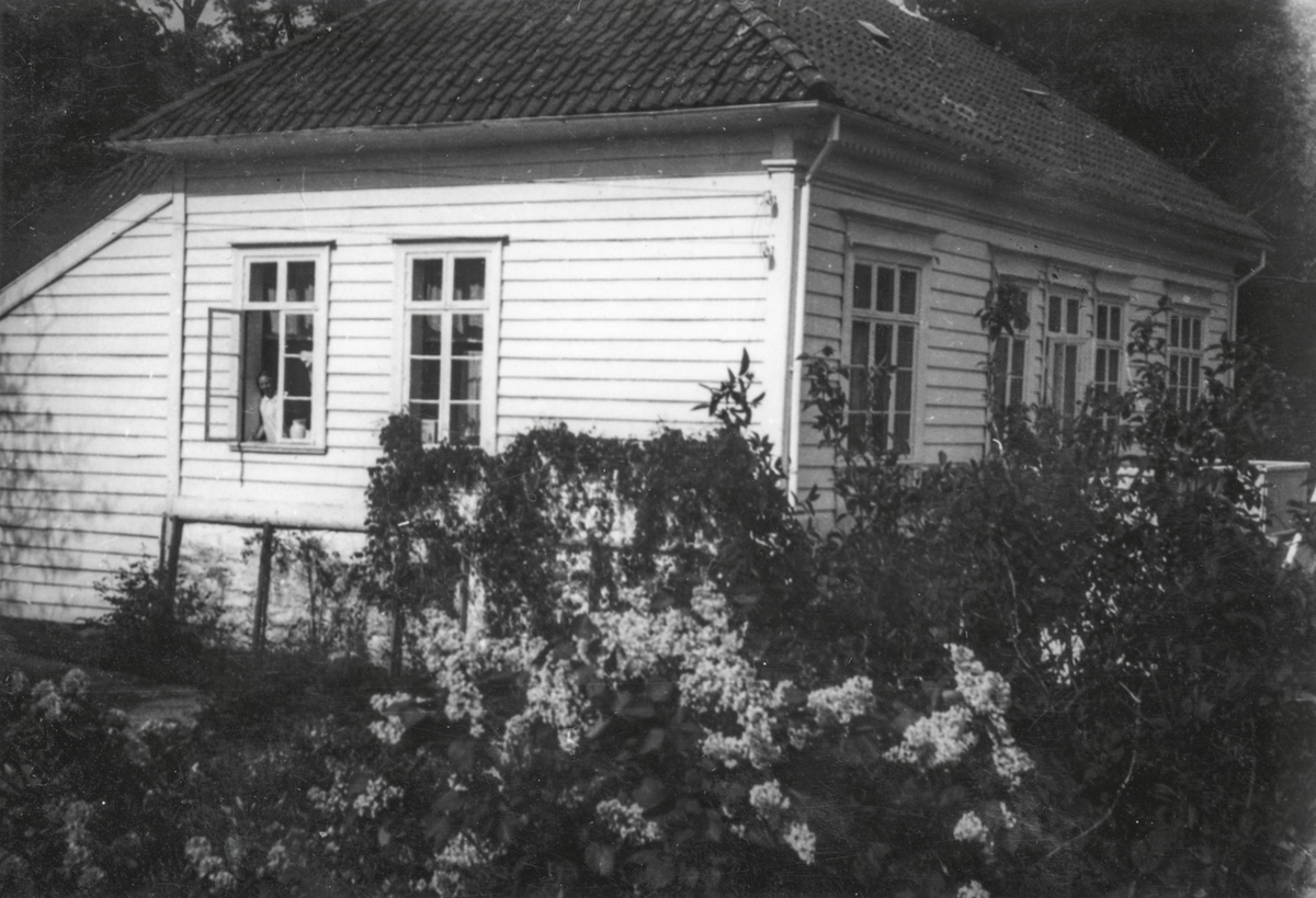 Hus og hageplanter på Fagerås.
