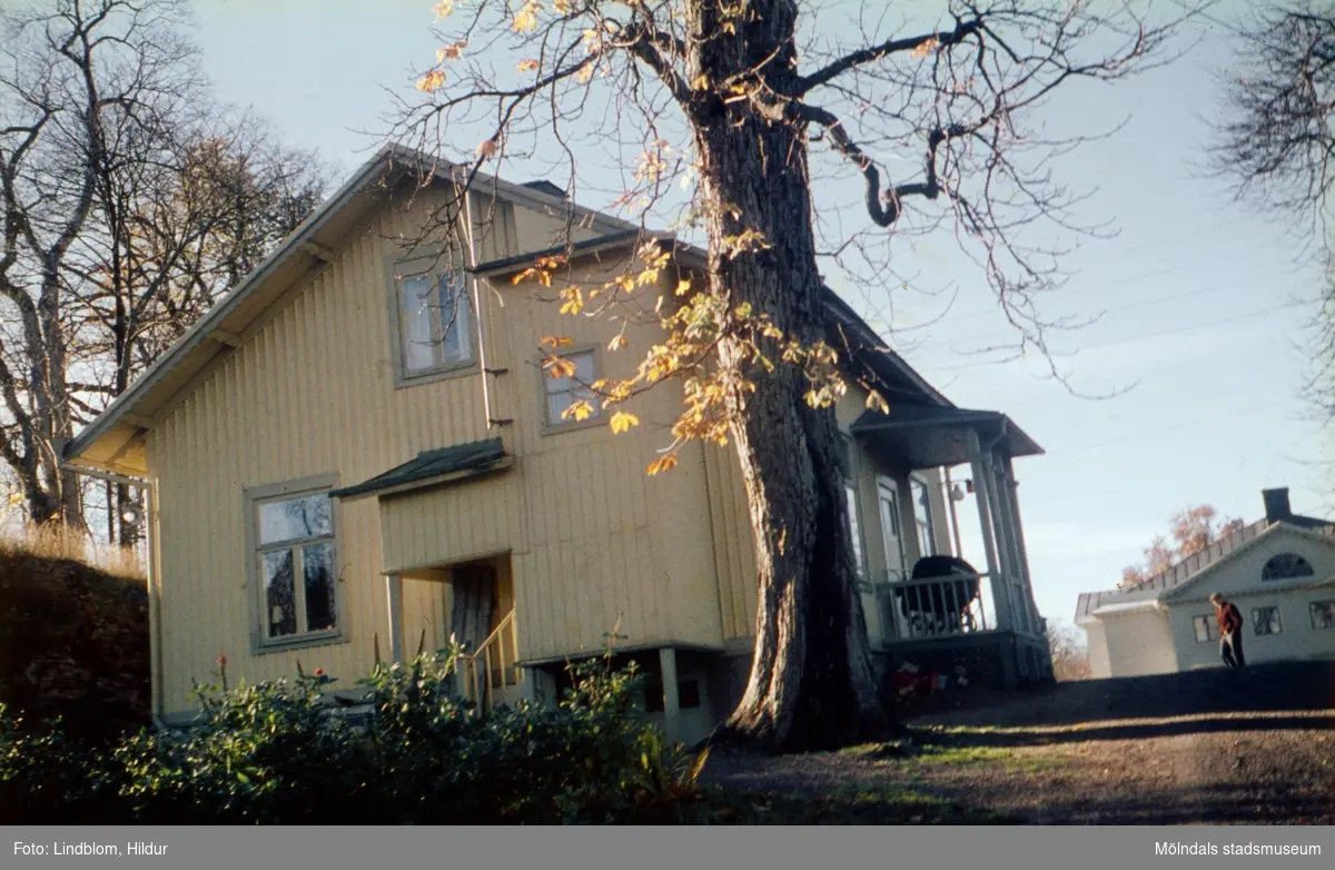 Vaktmästarbostaden, tidigare trädgårdsmästarbostaden, tillhörande Gunnebo slott. Mölndal, 1960-1970-tal. Fotografens far arbetade här. Till höger i bild skymtas del av slottets östra fasad.

För mer information om bilden se under tilläggsinformation.