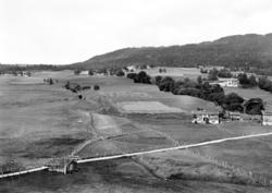 Foto fra ei bygd, muligens i Nesset kommune? Her ser vi land