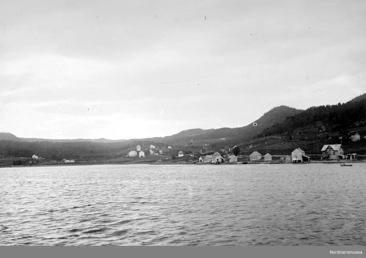 Foto fra ei bygd, trolig i Romsdalen eller på Nordmøre i Møre og Romsdal fylke. Datering er ukjent, men sannsynligvis omkring 1920 til 1939. Fotograf er trolig Georg Sverdrup. Fra Nordmøre museums fotosamlinger. /Reg:EFR2013/



