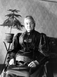 Foto trolig av
Gunhilde Helene Haagine Berner Sverdrup. (d. 