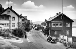 Motiv fra ";Surna"; i Surnadal kommune. Bildet er datert 195