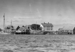 Dublett. Foto trolig fra fiskeværet og øysamfunnet Håholmen 