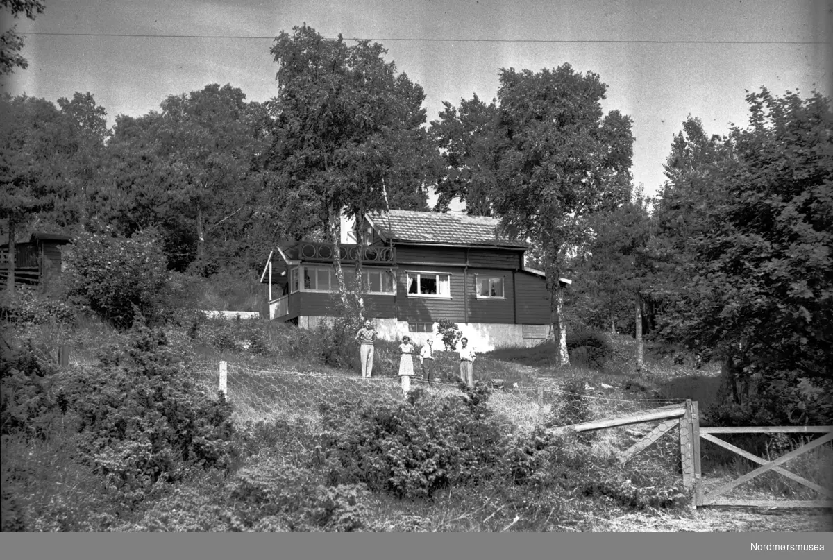 Sommerstedet Einlia på Indre Flatset- eier Theodor Sætherø. Fra Nordmøre Museum sin fotosamling, Williamsarkivet.
