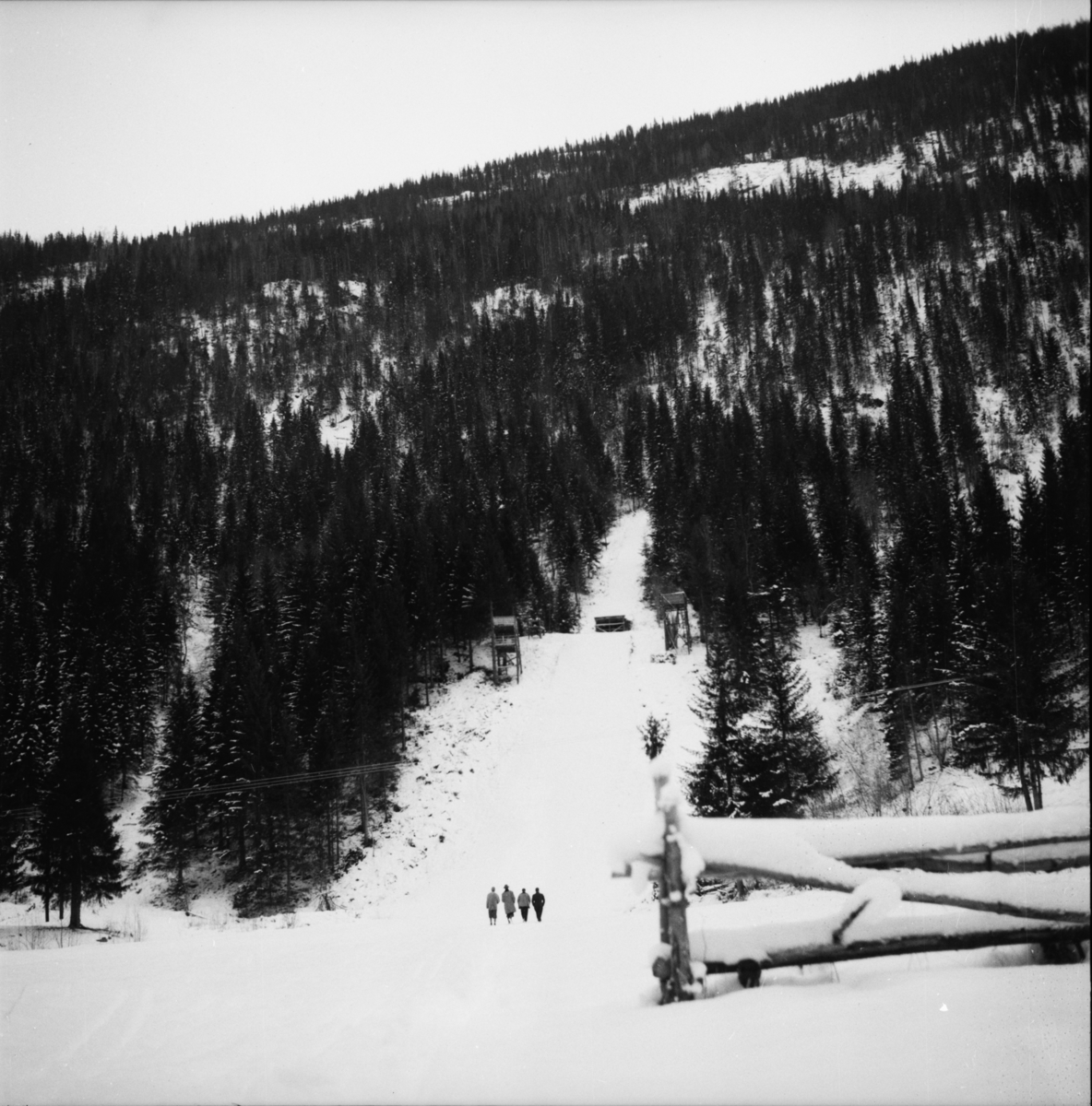 Vardens arkiv. "Foran Kviteseid Idr. landsrenn 25-27-28 d.m."  03-04.02.1954