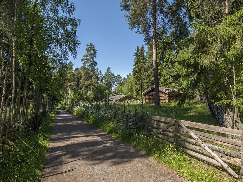 Grusveg med skog på begge sider og en liten setervoll med et par brune tømmerhus til høyre bak ei grind. (Foto/Photo)