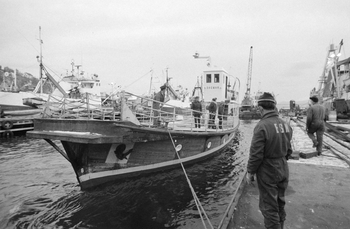 M/F "Dagmar" på sjøen ved ESN i Samasjøen.