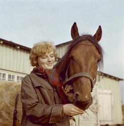 Gode venner på Bjerke i Oslo.