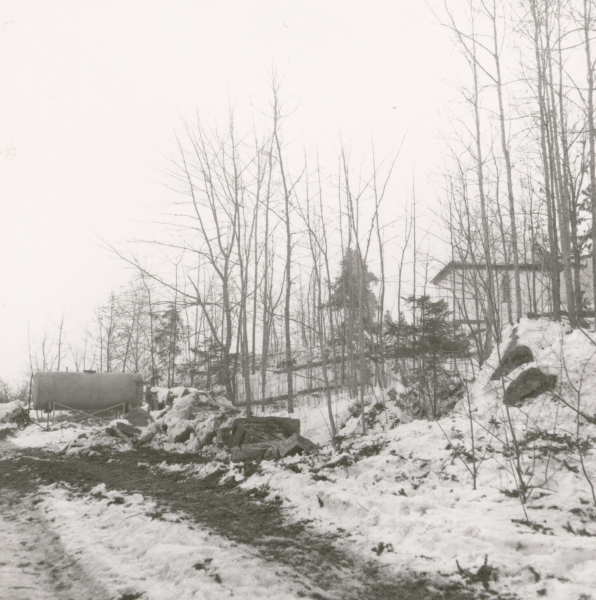 Foto från nordväst (från gamla vägen). Efter avverkning i mars 1969.