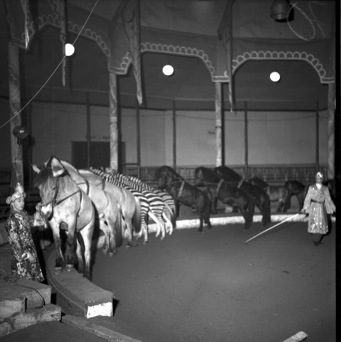 Furuviksparken invigdes 1936
Folkdanslaget Furuviks Ungdomslag och Barnkabarén blev Furuviksbarnen.
Ungdomscirkusen med hästar och zebror
Cirkusbyggnaden  Teater-Cirkus med cirka 600 platser, uppförd 1940.













