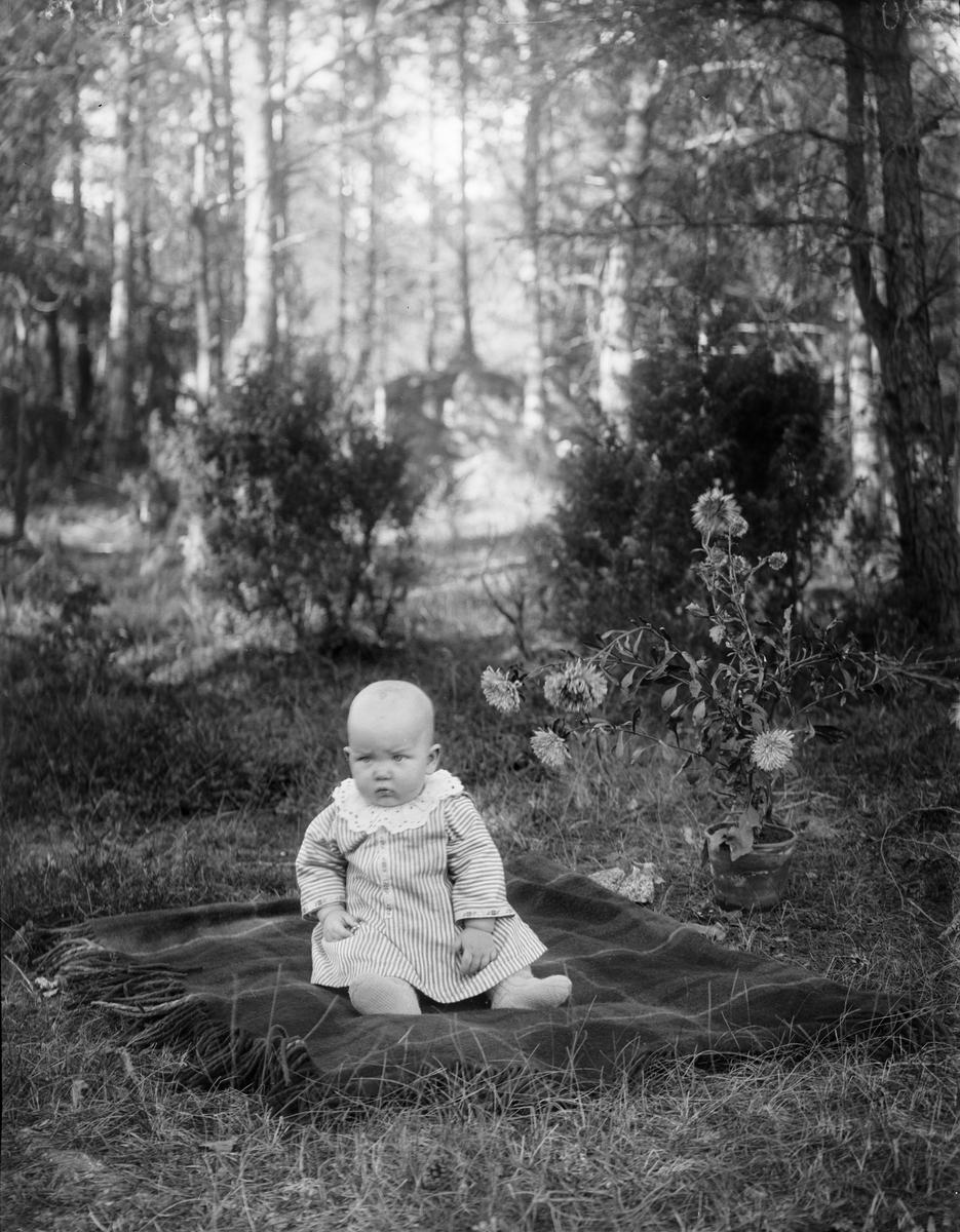 "Olov Lindström, Kålsta sitter på schalen",  sannolikt Torstuna socken, Uppland 1920