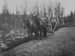 Pløying med to hester på Sundvolden, Røros, 1938