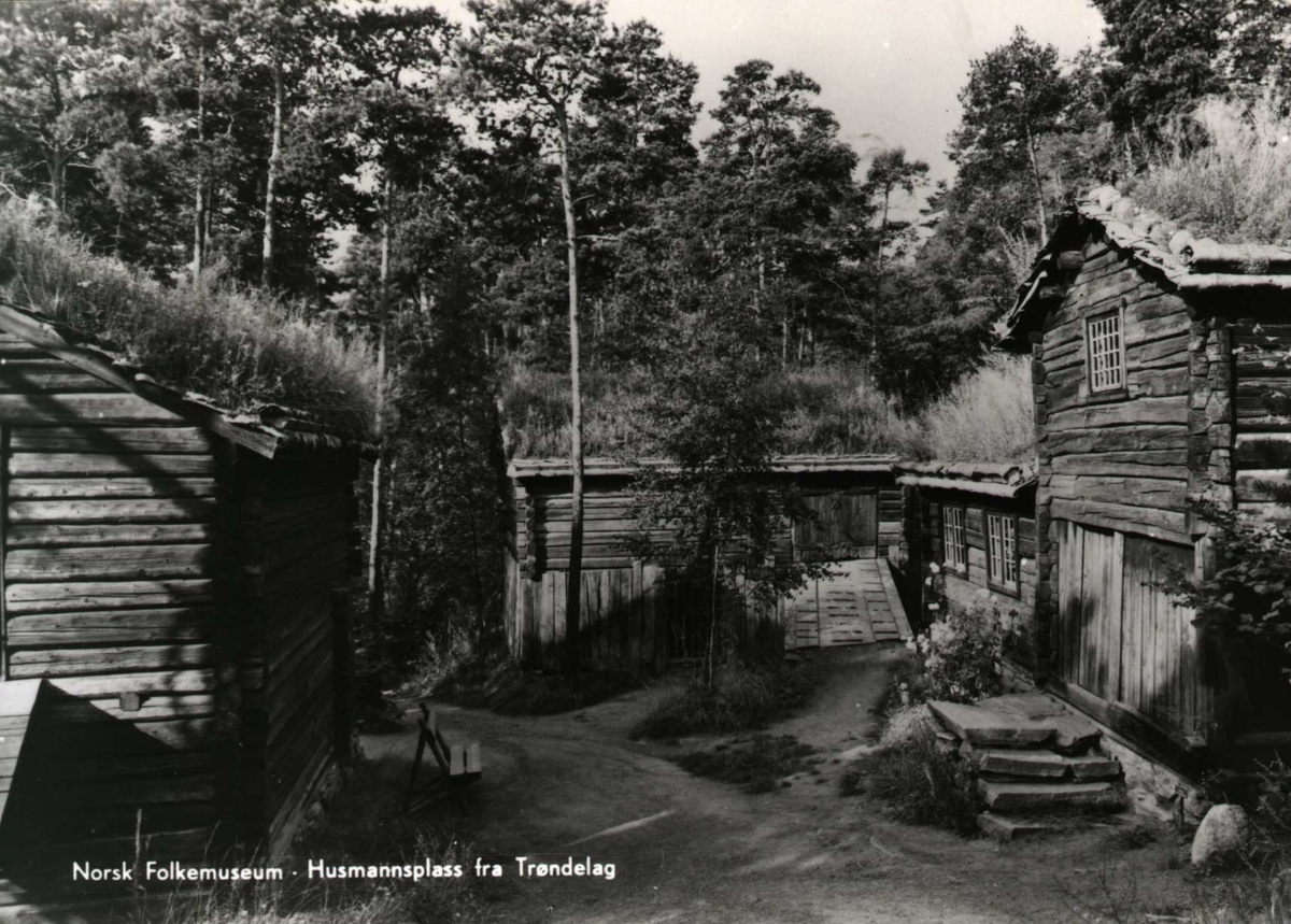 Postkort. Husmannsplass fra Trøndelag. Sør-Trøndelagstunet, NF.