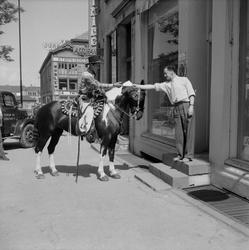 Sirkuscowboyen Lancing King fra Cirkus Arnardo rir over Torv