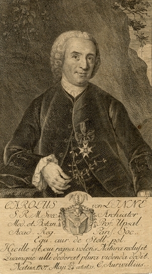 Kopparstick. 
"Carolus von Linné...". 
Carl von Linné med en linnea i ena handen - undertill hans vapen,
omgivet av text på latin.