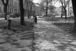 Arbeid i Brattørparken