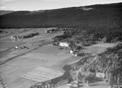 Winge turisthotell (turistheim), Tretten vestside, Øyer, som