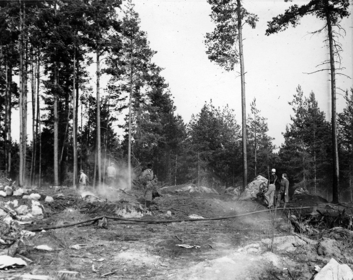 Skogsbrand 1947.