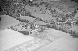 Gårdsbruk, Gausdal, kornåkrer, slåttemark, innmarksbeite, ha