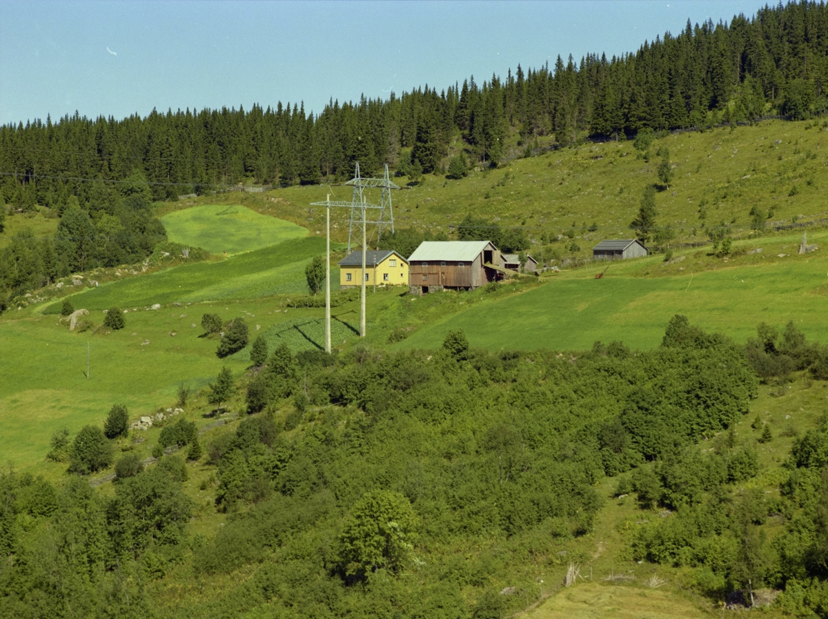 Kulturlandskap. Småbruk. Gul bygning. Litt dyrka mark, mye utmark. Høyspentmaster.