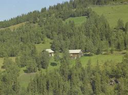Beritslien, småbruk, gamle bygninger, skog, Svatsum, Vestre 