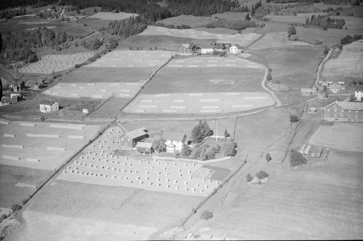 Vedum Nordistugun gård (Videimr), Øyer, 1952, Toetasjes hvitt våningshus, stor driftbygning, kjøkkenhage/frukthage, flaggstang og uthus. Jordbruk, slåttonn, hesjing, kornstaur