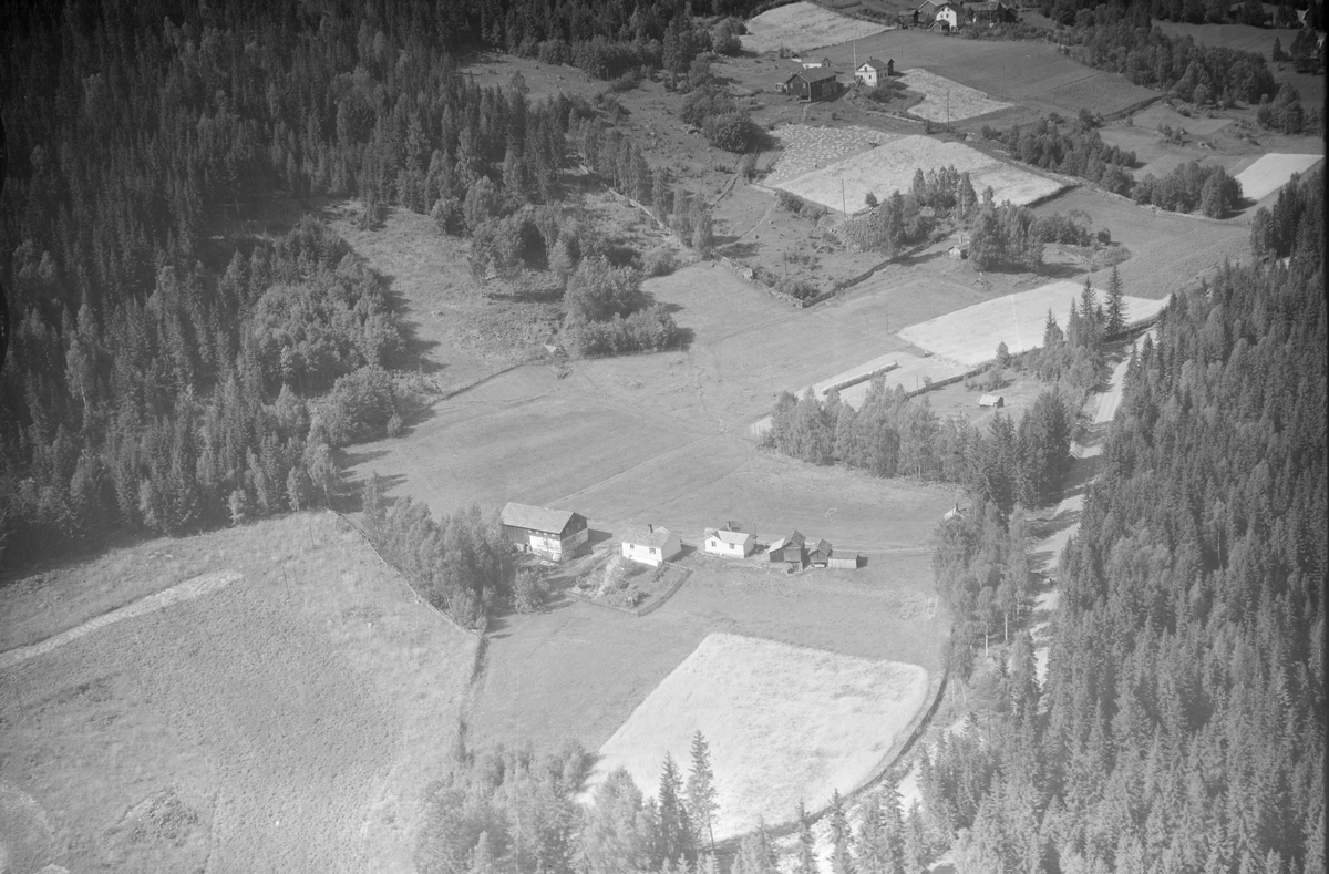 Sveajordet småbruk, Øyer, 1953, låve, tofarget, to våningshus, flere mindre uthus. kjøkkenhage,  jordbruk, slåttonn, hesjing, kornskurd, blandingsskog